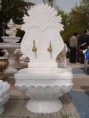 /album/foto%c4%9fraflar%3a-1/a9-jpg/